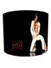elvis presley lampshade 10